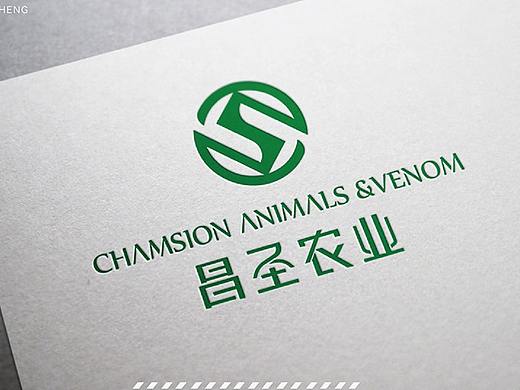 logo设计