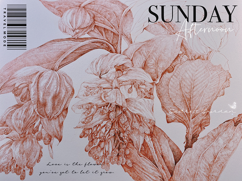 蘸水笔针管笔｜宝莲灯（图ZMzM2ODY2MjQ4） - 艺术插画 - 站酷设计师CatCastleDZ原创素材 - 站酷ZCOOL