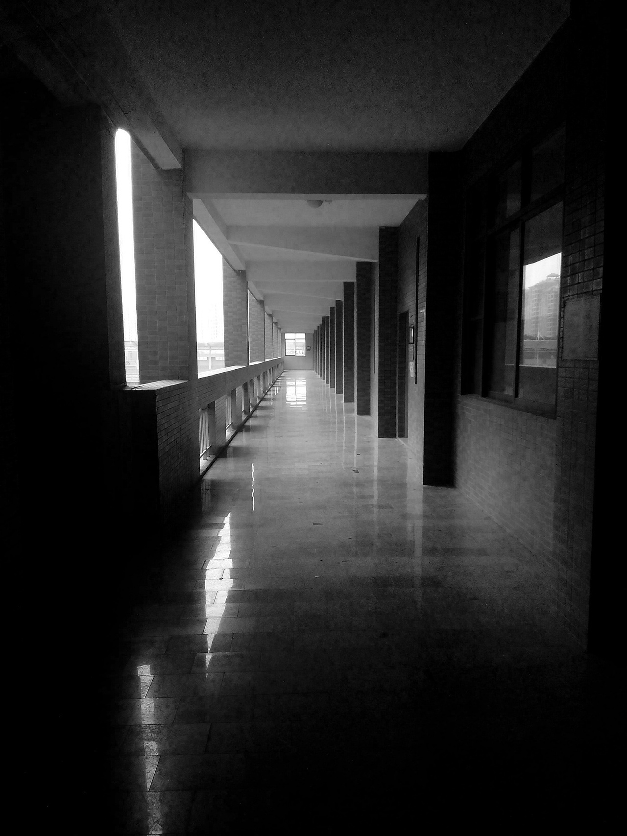 原创画作与摄影