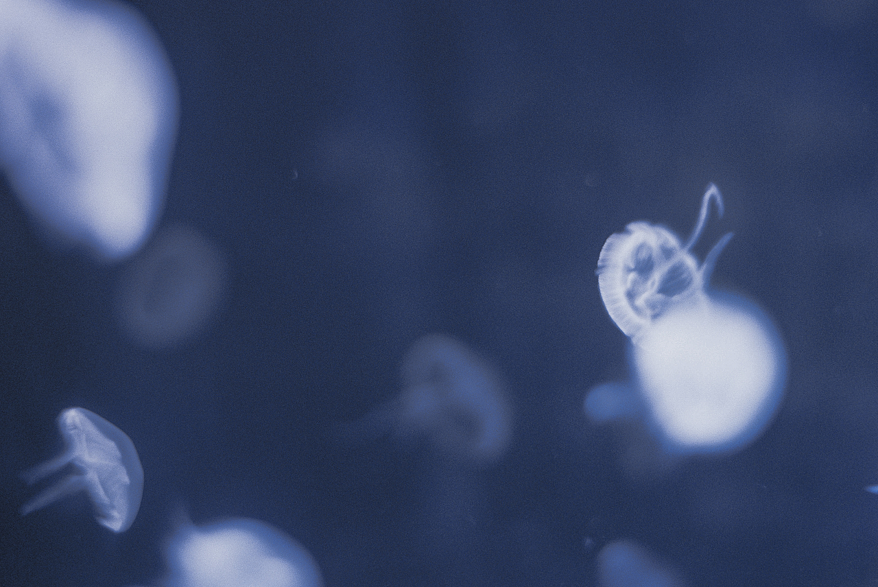 Fall in blue.（圖ZMTQ4NjU5NDcy） - 人像攝影 - 站酷設(shè)計(jì)師hi椰樹原創(chuàng)素材 - 站酷ZCOOL