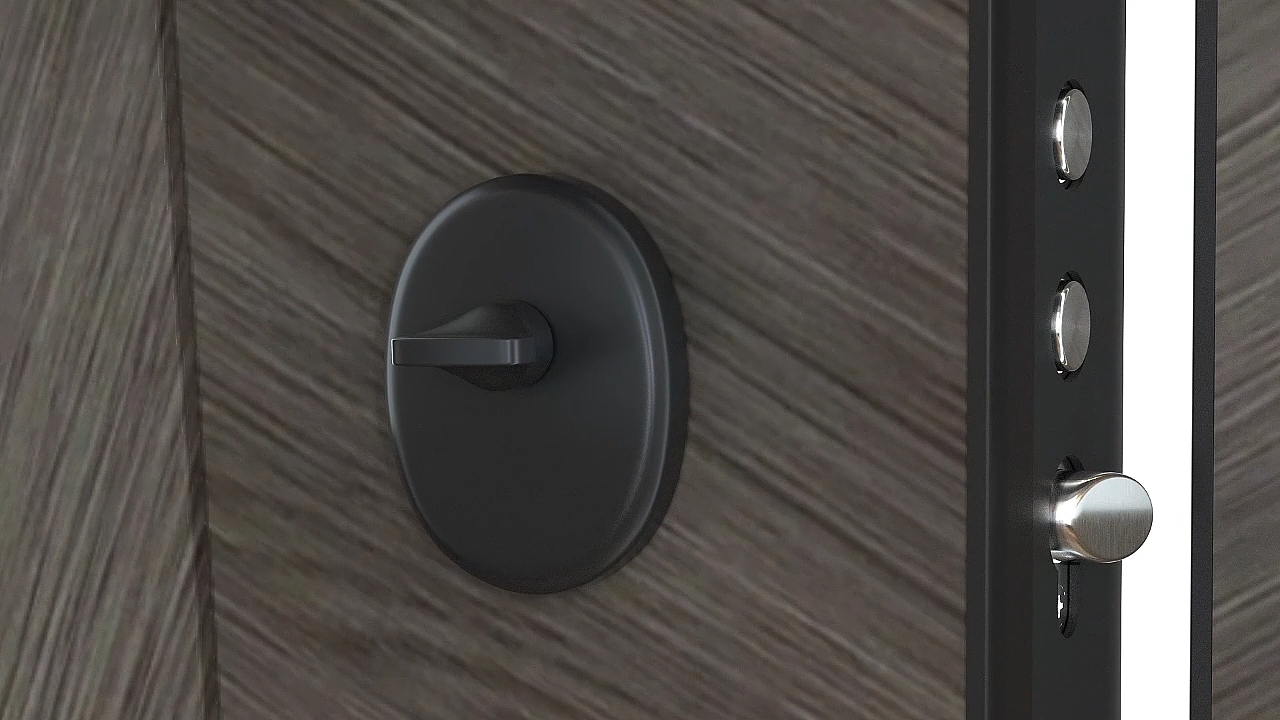 现代北欧风入户门