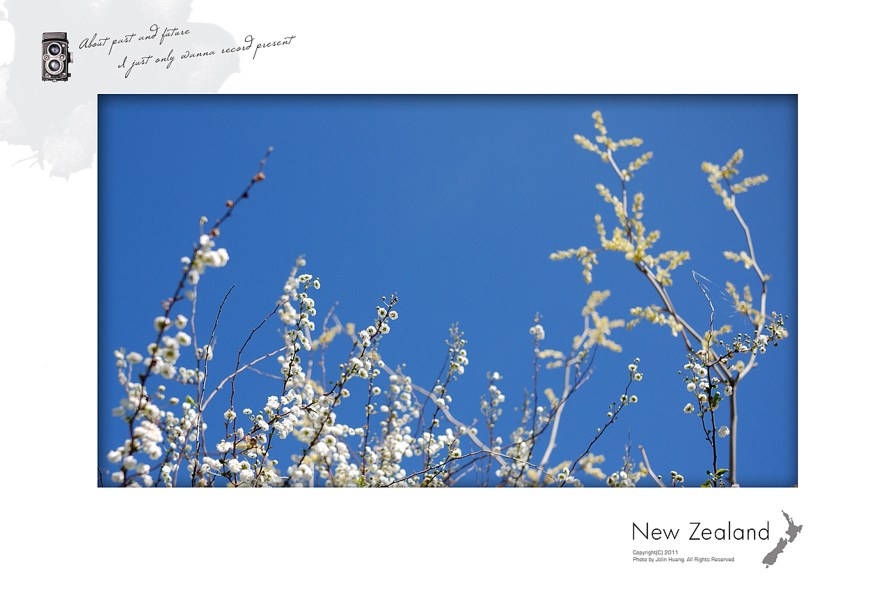 New Zealand 新西兰明信片（图ZNzY5NTQ3Mg==） - 风光摄影 - 站酷设计师jolinivy原创素材 - 站酷ZCOOL