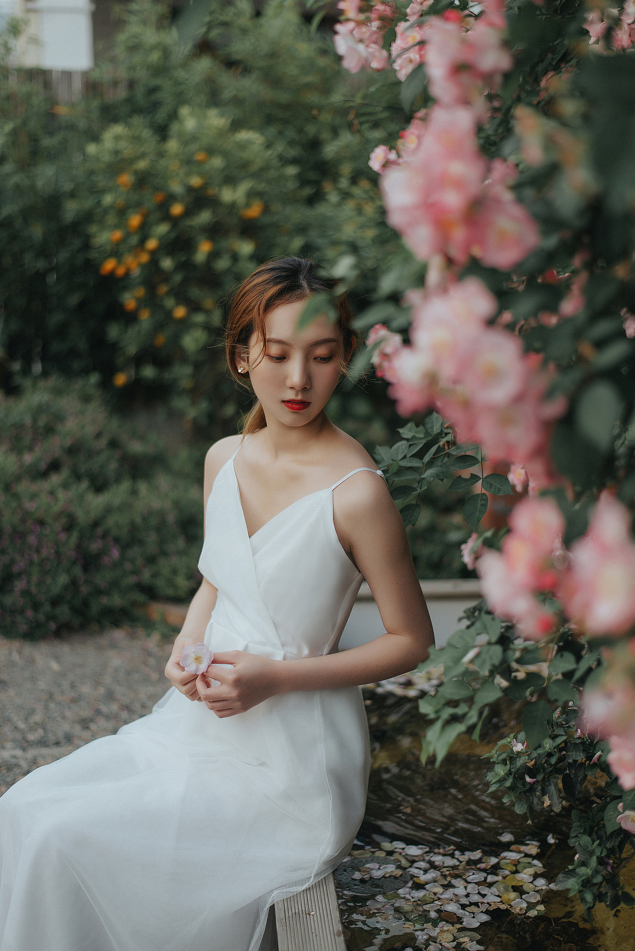 蔷薇（图ZMjU0Njc2NzQw） - 人像摄影 - 站酷设计师阿末photo原创素材 - 站酷ZCOOL