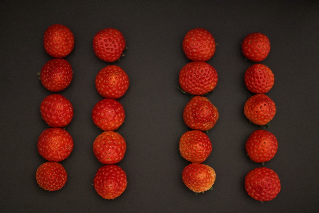 草莓图片素材背景高清图片草莓数字123456789草莓爱心（图ZMjg1NTI5NjA0） - 产品摄影 - 站酷设计师饿狐原创背景素材原创素材 - 站酷ZCOOL