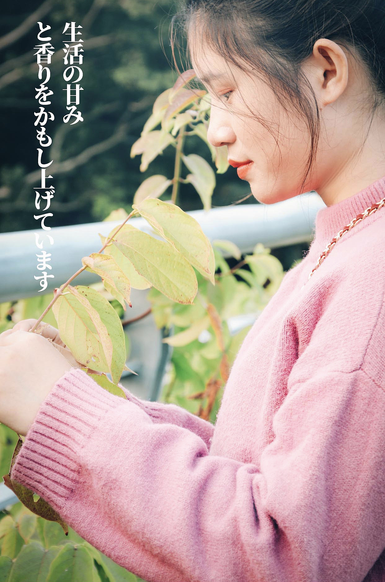 「 彩 色 记 忆 」