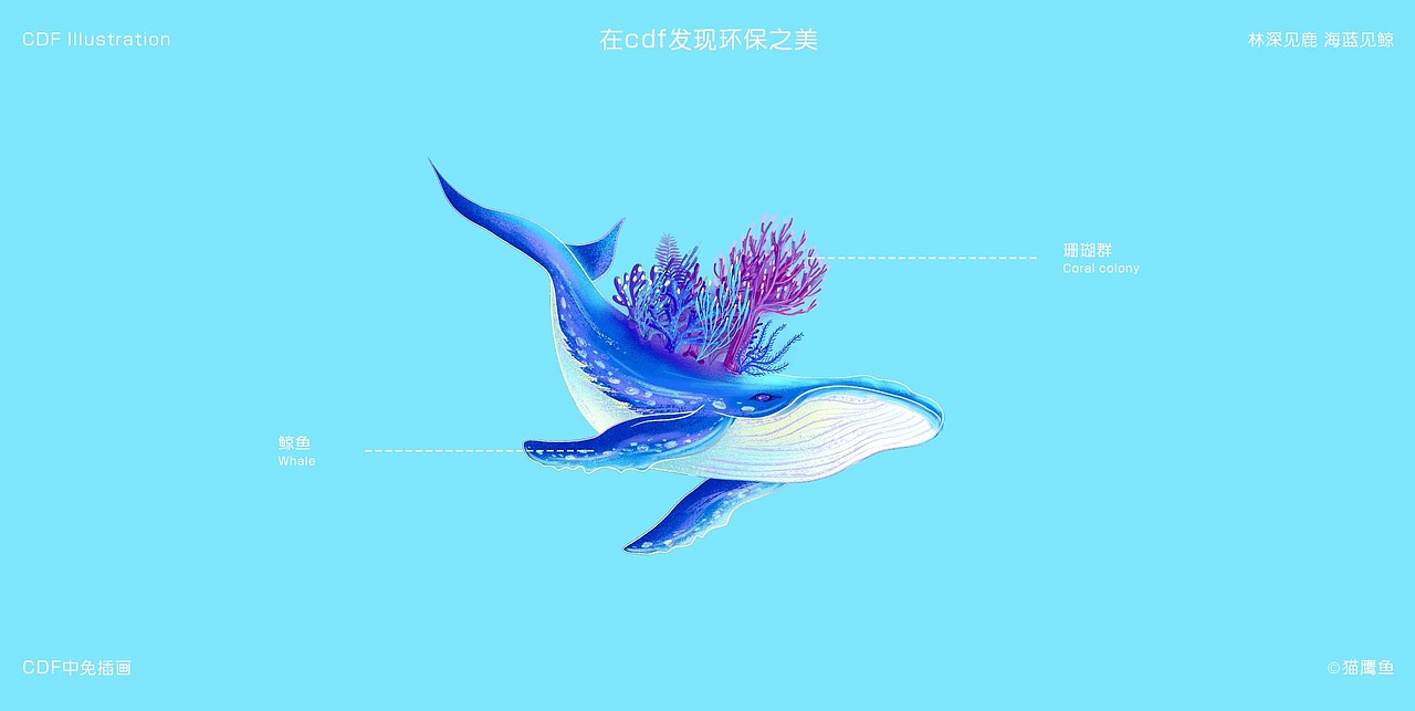 在cdf发现环保之美-「林深见鹿 海蓝见鲸」