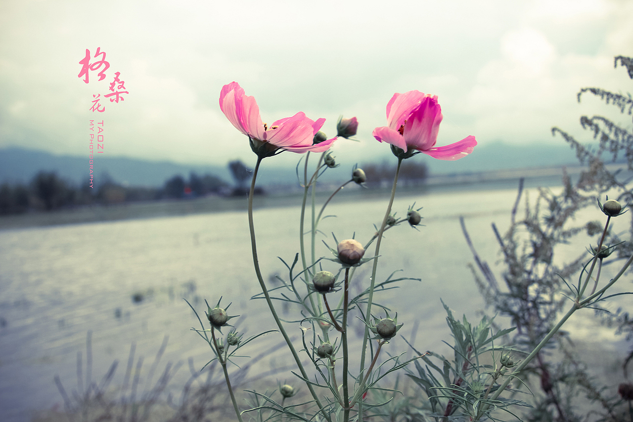 2014云南之旅（一）（图ZMjM3MTA4ODA=） - 风光摄影 - 站酷设计师体验设计桃子原创素材 - 站酷ZCOOL