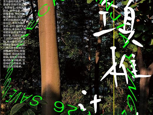 保护颈椎计划