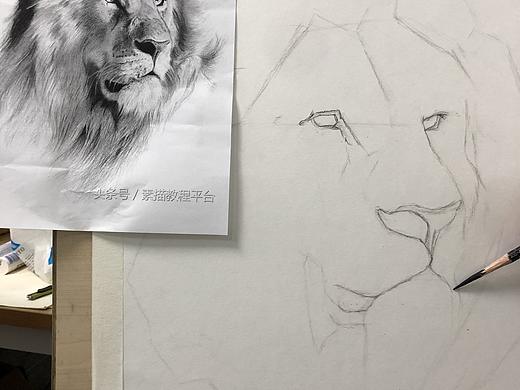 素描臨摹獅子???（個人主頁-ZNTM5MjM1OTY=） - 繪畫 - 站酷設(shè)計師辰悅Wendy原創(chuàng)素材 - 站酷ZCOOL