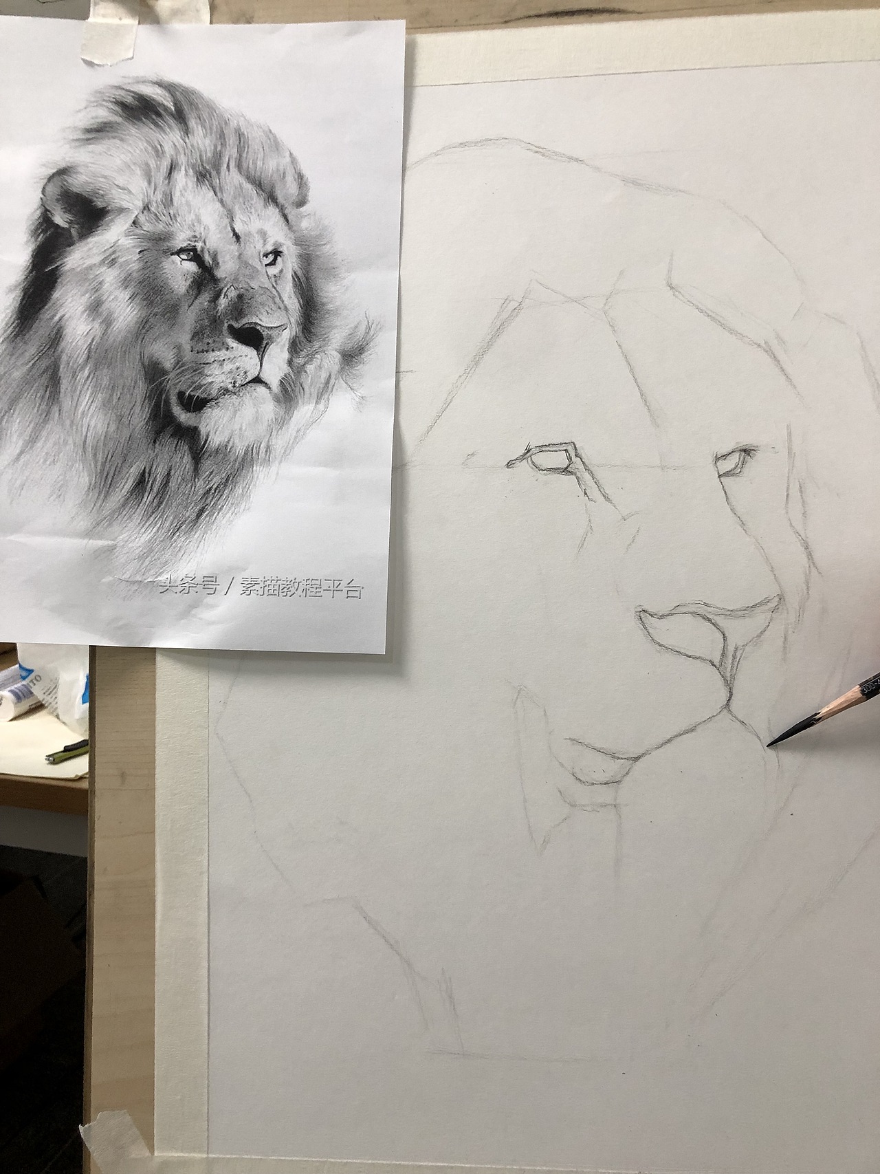 素描臨摹獅子???（圖ZMjYyNDcyMDUy） - 繪畫 - 站酷設(shè)計(jì)師辰悅Wendy原創(chuàng)素材 - 站酷ZCOOL