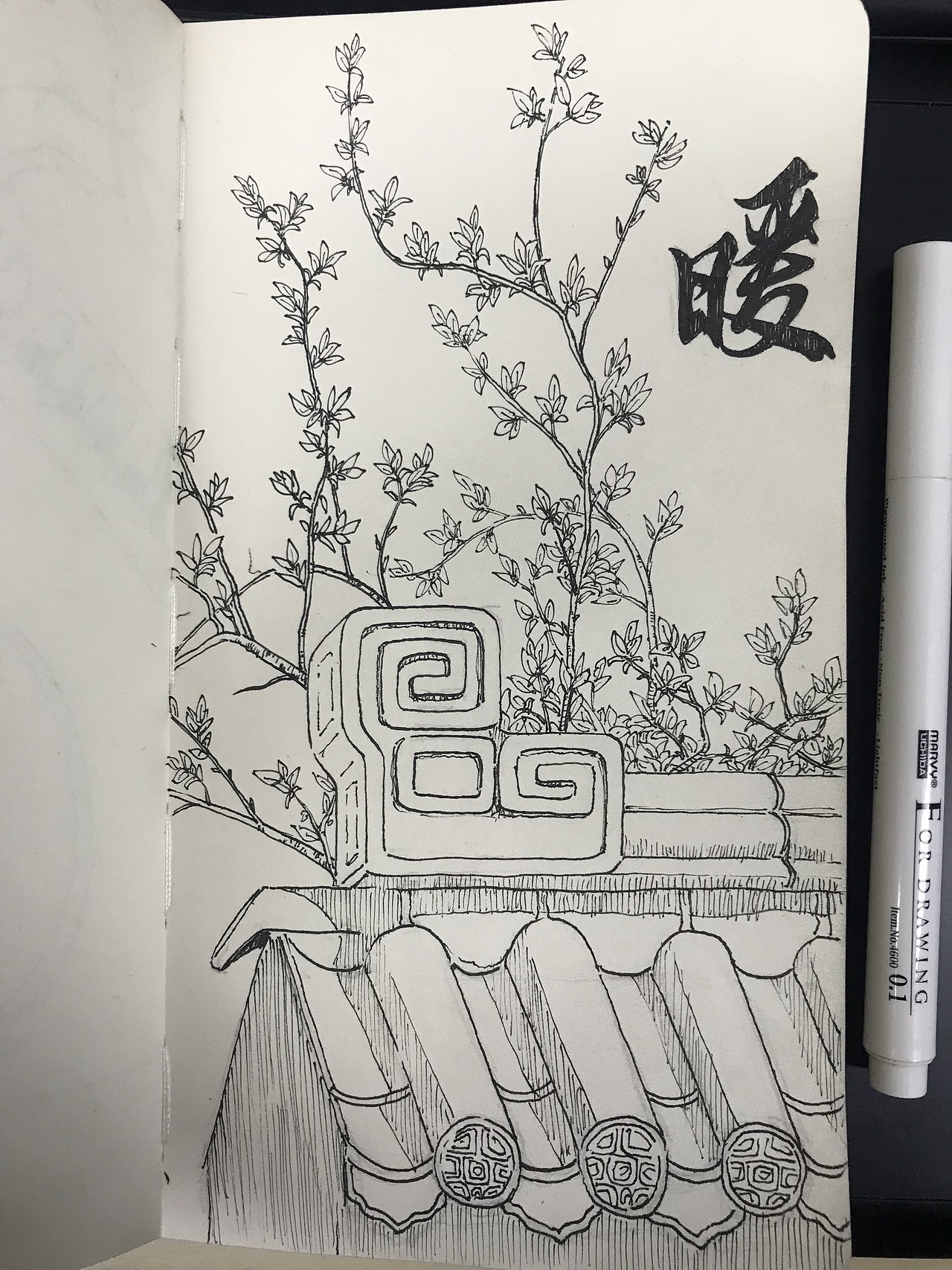 最近的一些速写