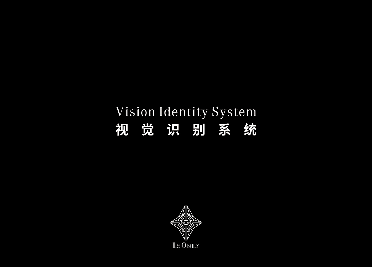 LS.ONLY 酒吧VI手册 LOGO 设计