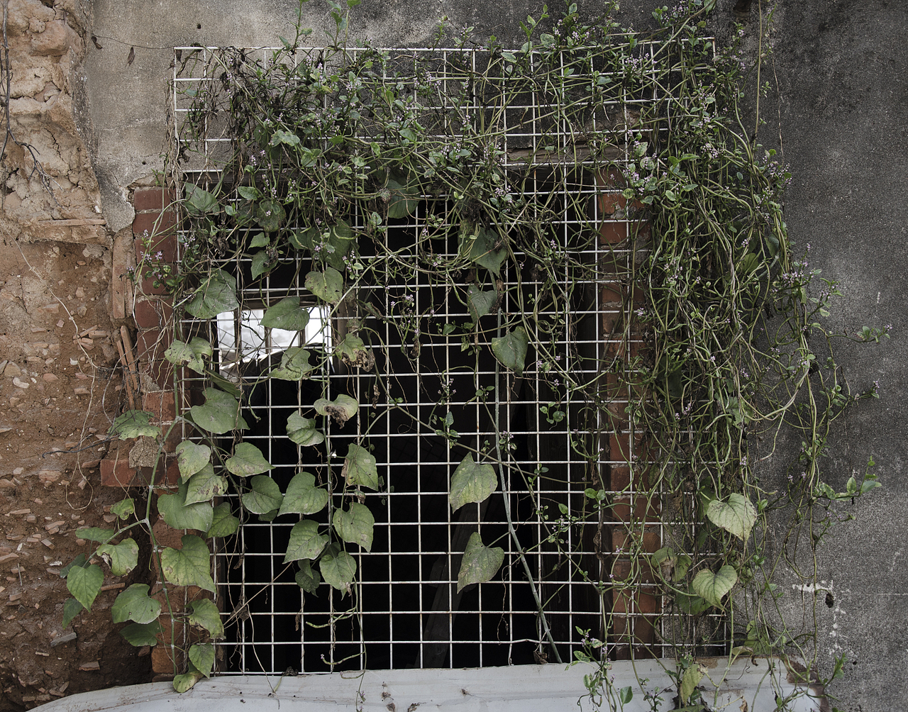 老窗（图ZMTA5MDU4NDg0） - 环境/建筑摄影 - 站酷设计师九鲛原创素材 - 站酷ZCOOL