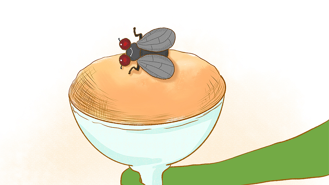 《欢迎来我家》（图ZMTU0NzgyMjg0） - 儿童插画 - 站酷设计师卓小昕sweetheart原创素材 - 站酷ZCOOL