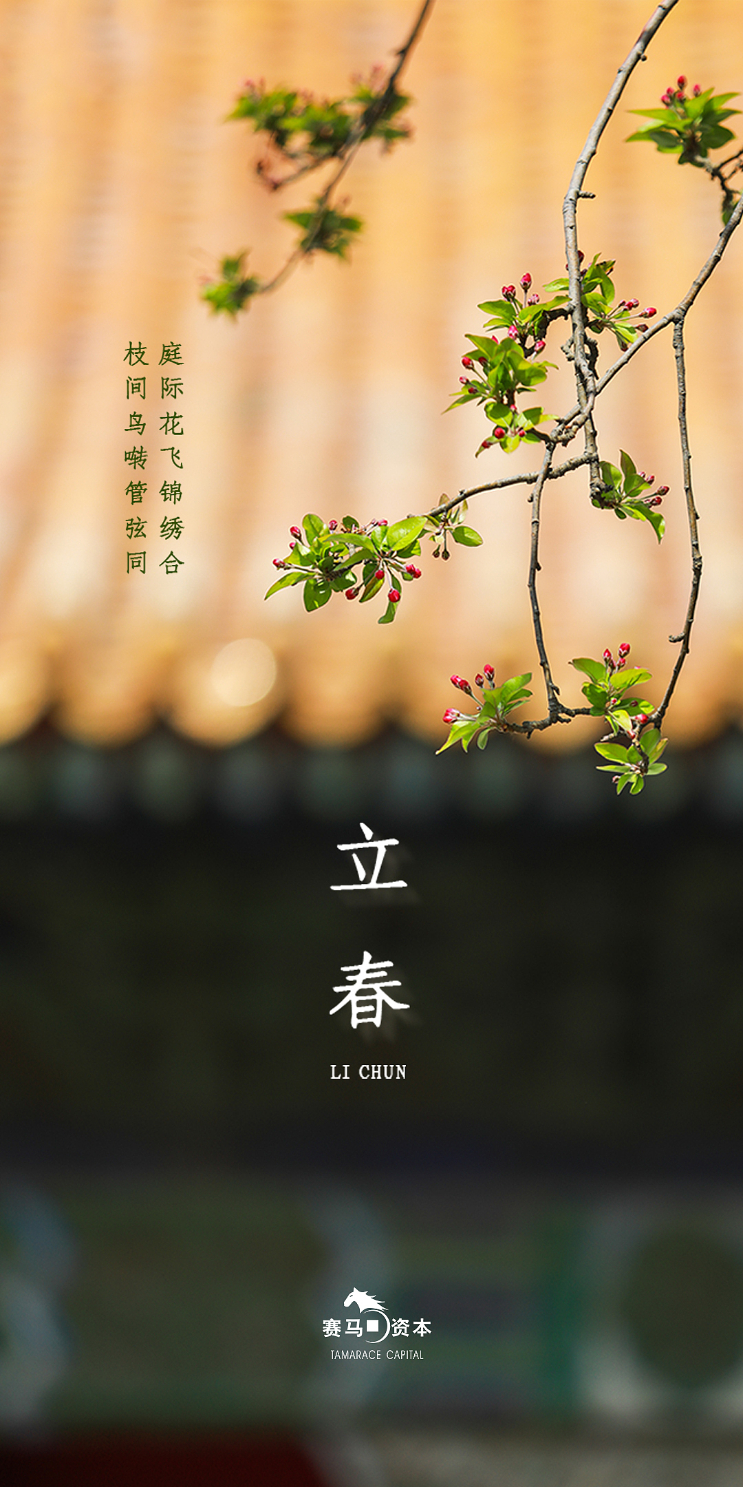 节气海报（图ZMjA3NDUxOTYw） - 海报 - 站酷设计师萧可乐原创素材 - 站酷ZCOOL