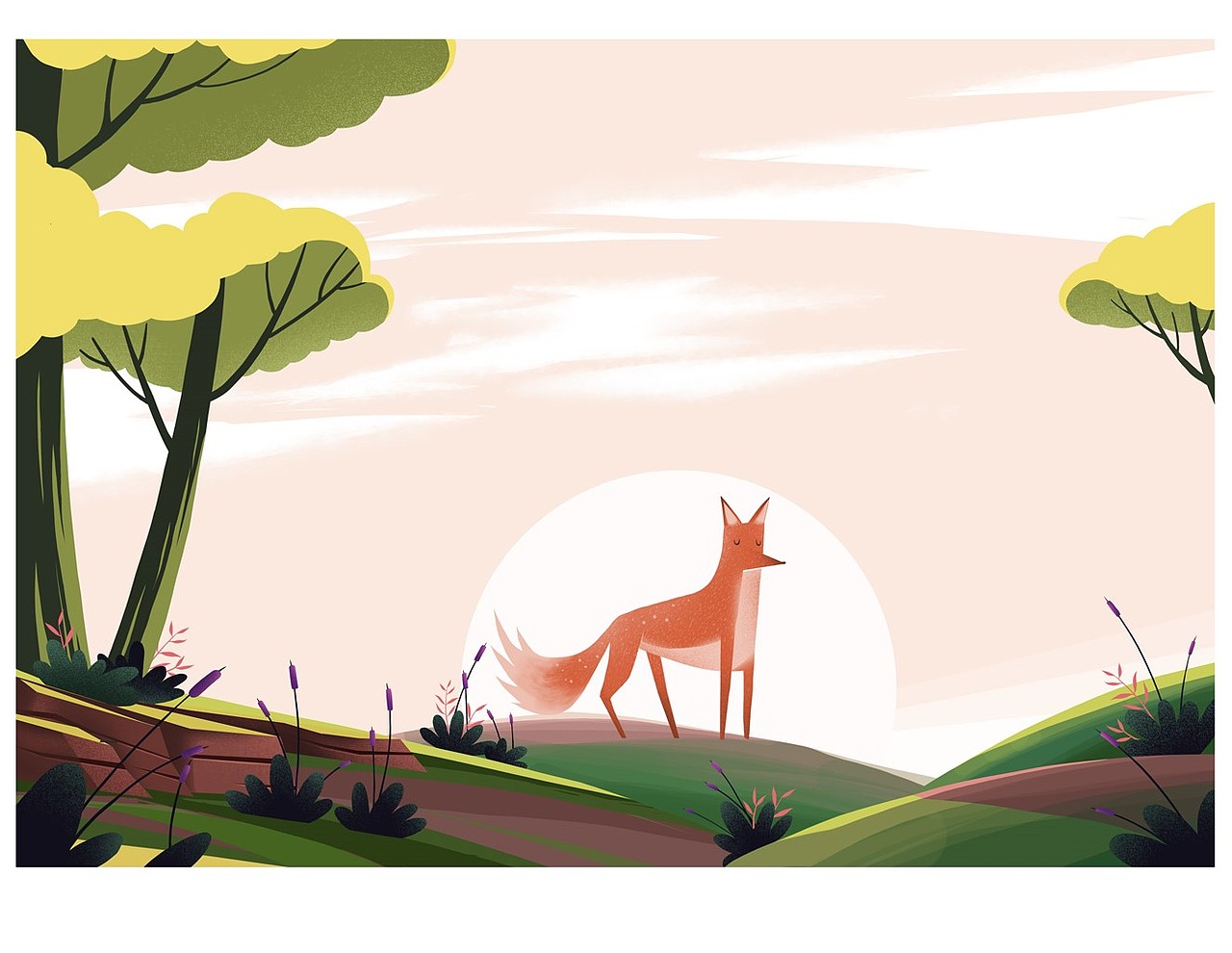 《动物与大自然》系列插画