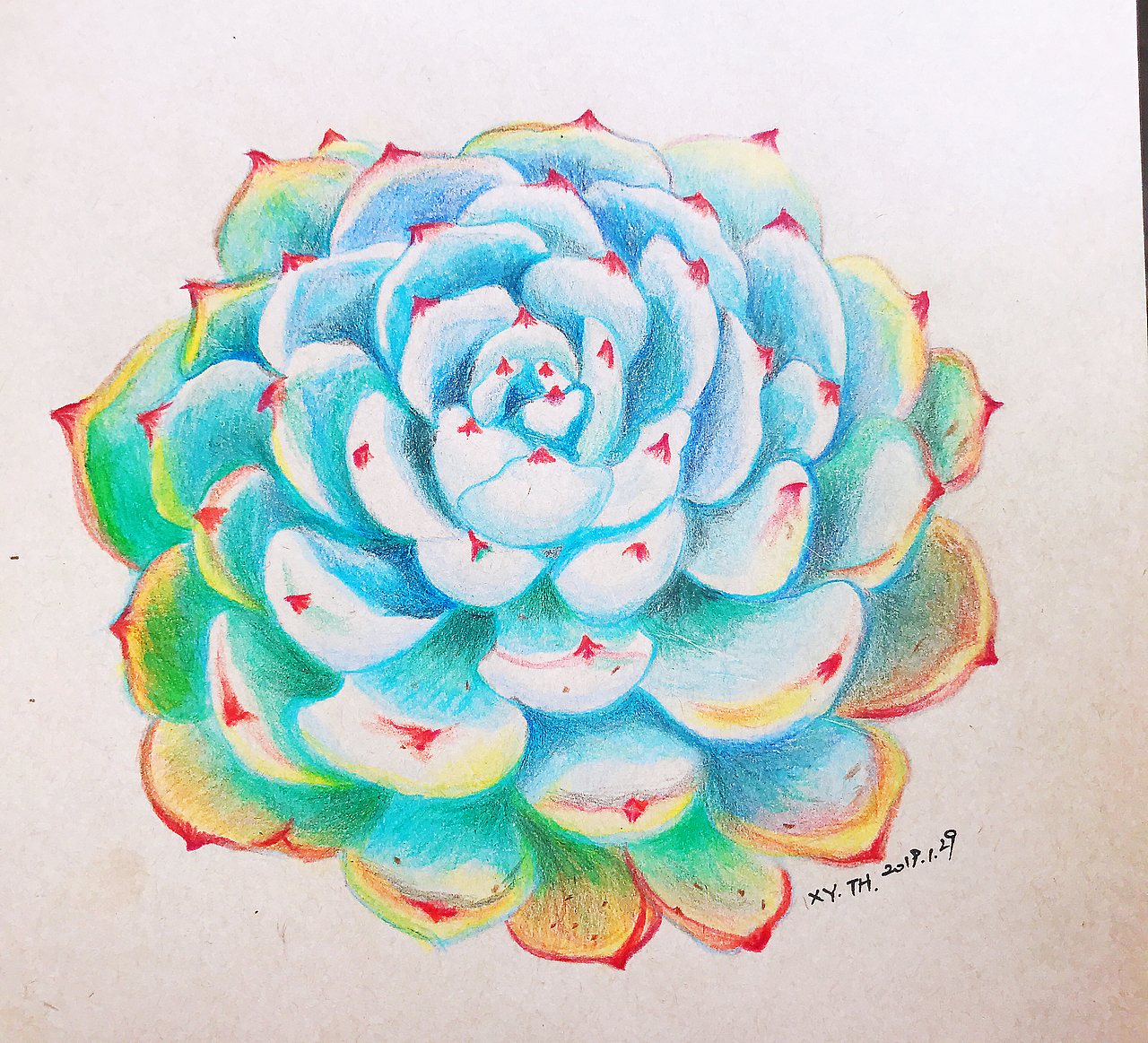 彩铅，针管笔作品【三】（图ZMTY0MDUwOTA0） - 创作习作 - 站酷设计师英子手绘插画控原创素材 - 站酷ZCOOL