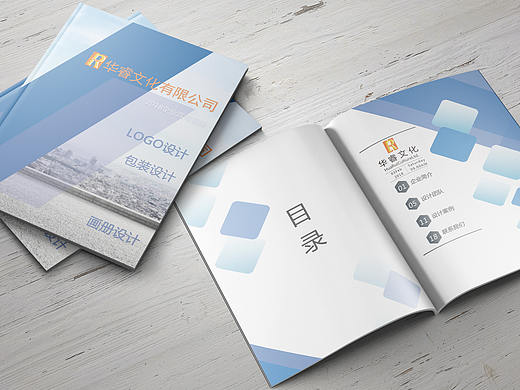 公司宣传画册（个人主页-ZMjY1NTU3NDQ=） - 书籍/画册 - 站酷设计师小米蕉原创素材 - 站酷ZCOOL