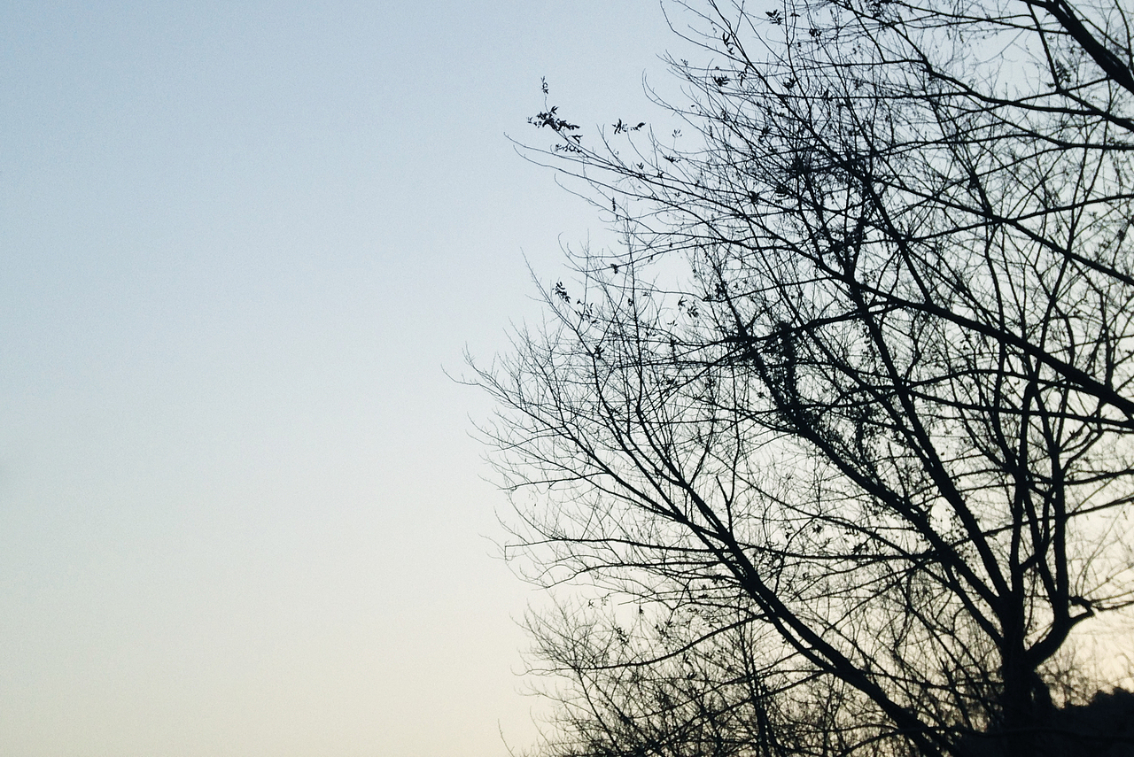 九溪-释放心情的旅途 手机拍摄