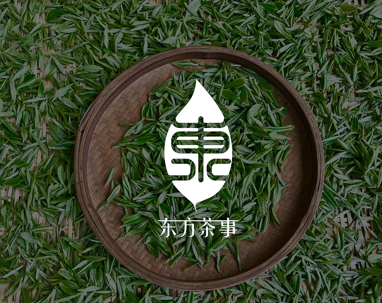 茶logo设计/品牌设计