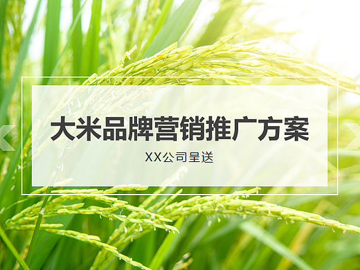 2022农业区域公用品牌大米品牌营销推广方案-72P