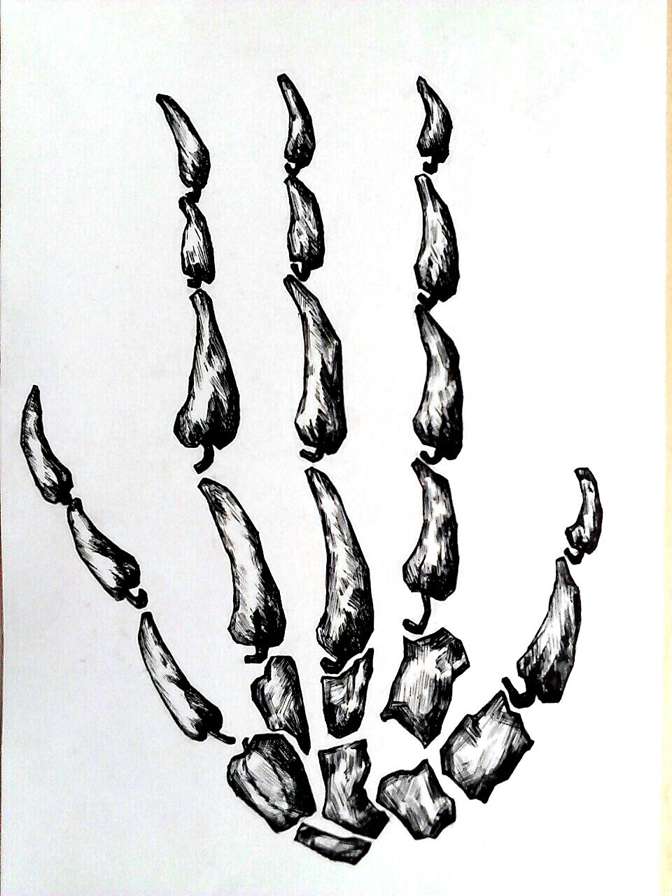 异质同构形影矛盾字体设计