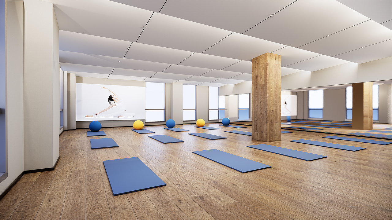 Molly猫力健身房