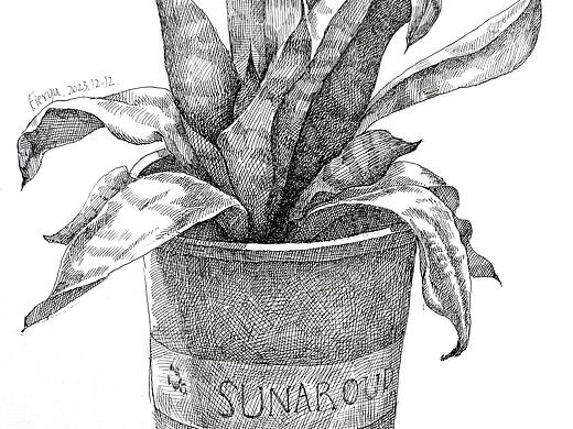 小盆景寫生（個(gè)人主頁-ZNjczMjI4NjQ=） - 繪畫 - 站酷設(shè)計(jì)師Fieryu原創(chuàng)素材 - 站酷ZCOOL