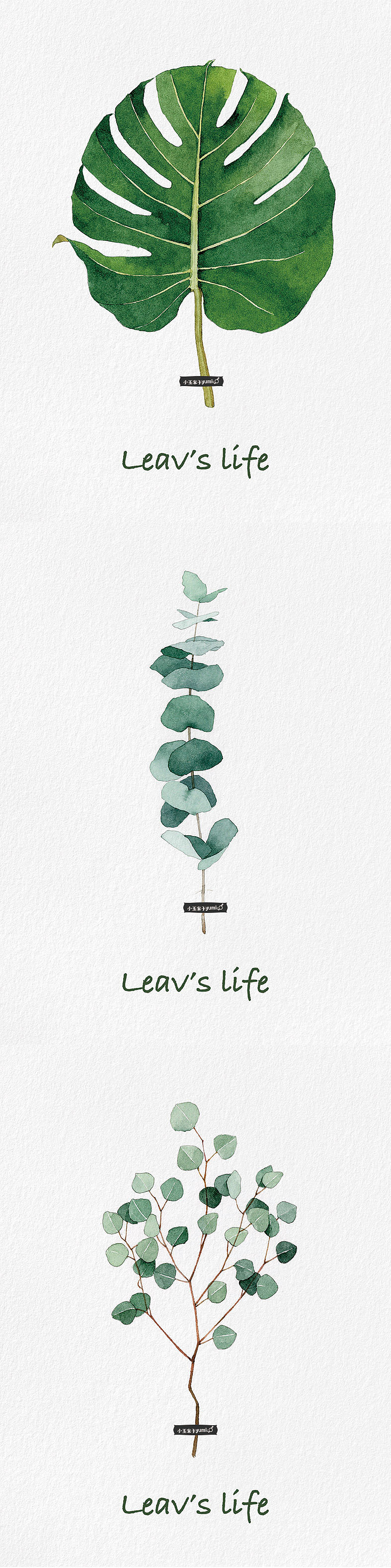 Leaf's life（图ZMTQxMTkwNzE2） - 商业插画 - 站酷设计师玉米呀yumia原创素材 - 站酷ZCOOL