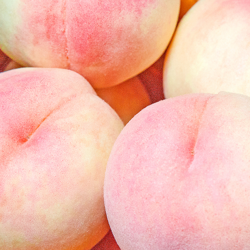 樱桃、玫瑰花茶、水蜜桃生鲜摄影作品