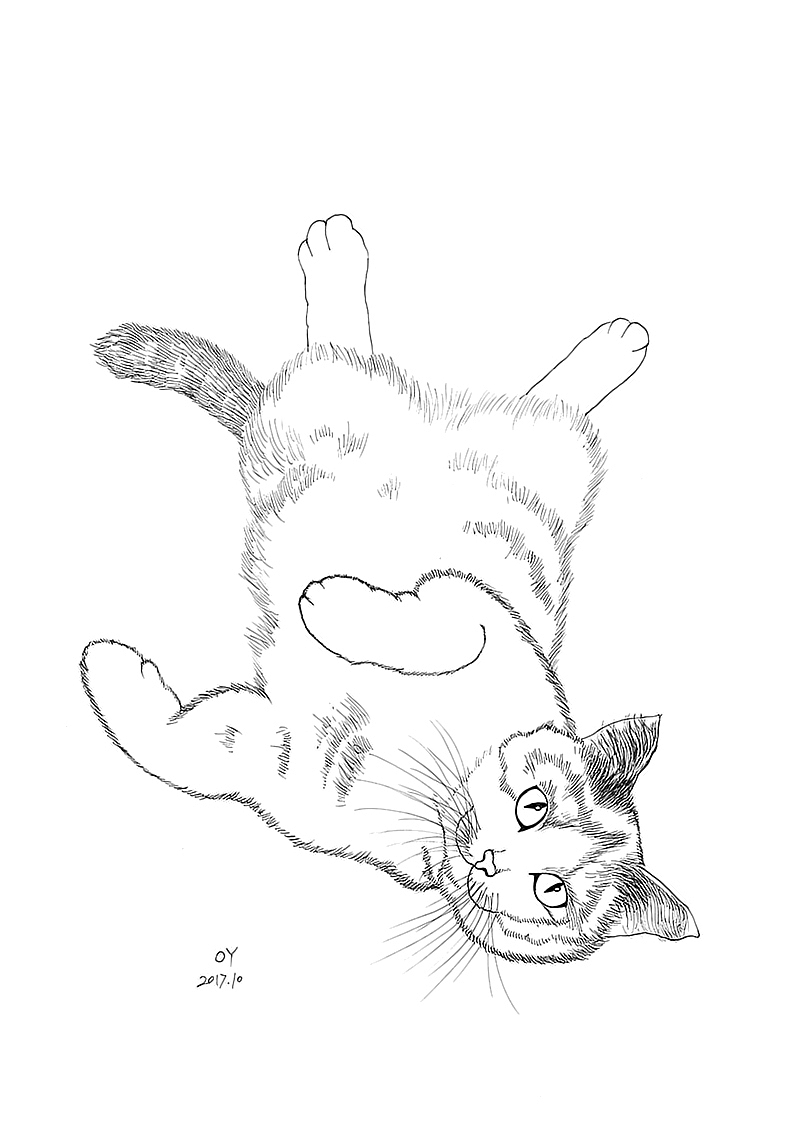 OY手绘:一天一画2017