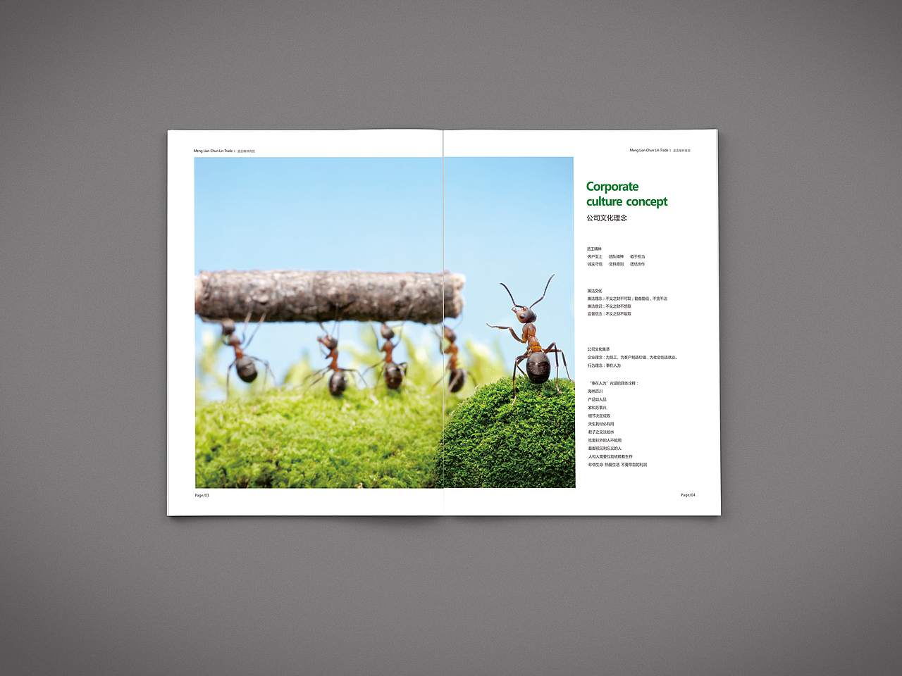 贸易公司企业画册设计（图ZNjQxNDcxODA=） - 书籍/画册 - 站酷设计师麦田下的守望者原创素材 - 站酷ZCOOL