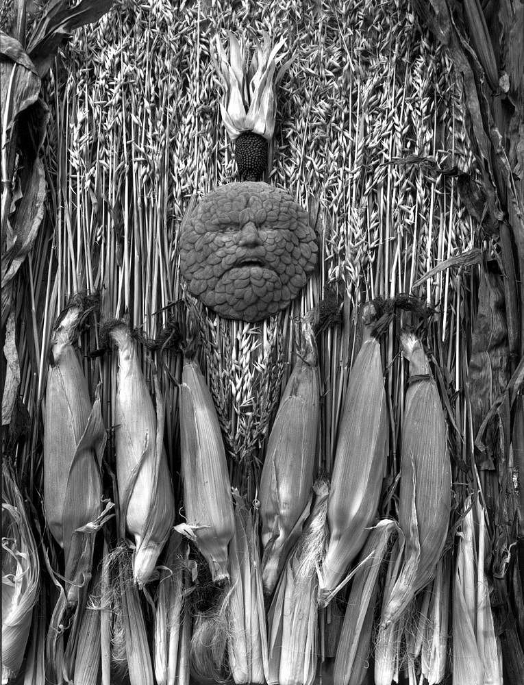 直接摄影保罗卡普尼格罗