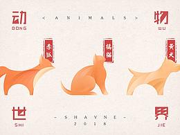 大广赛