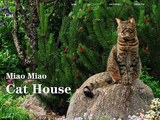 企业网站（个人主页-ZNDUxNjA2Mjg=） - 企业官网 - 站酷设计师Z78687984原创素材 - 站酷ZCOOL