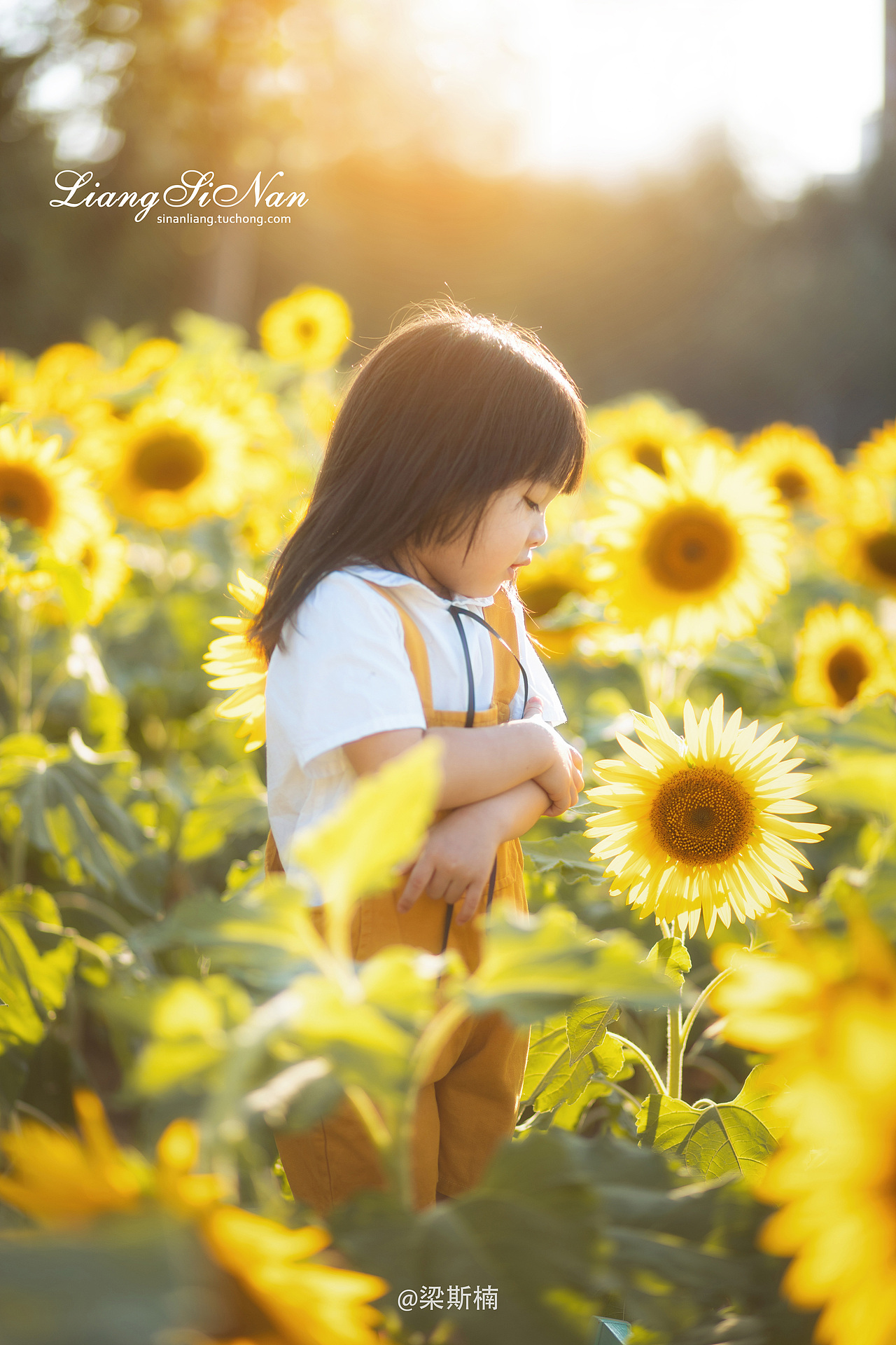 向日葵和宝宝