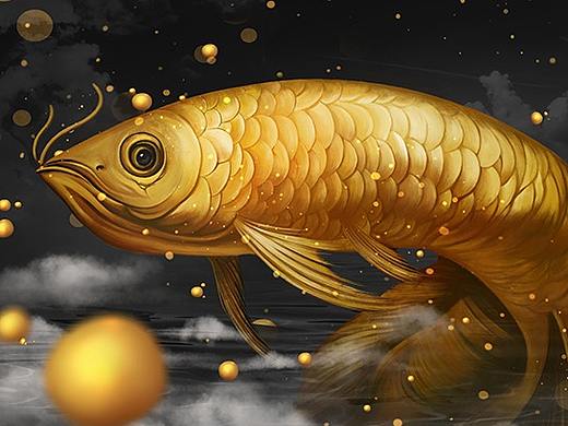 《金龙鱼》