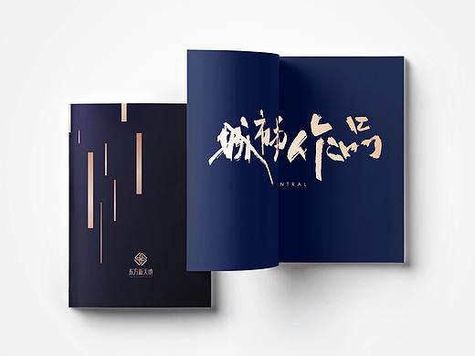 画册设计 | 地产楼书