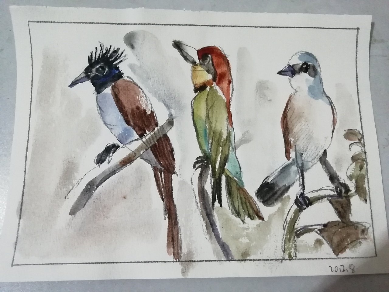 20.03.13水彩—鸟作品