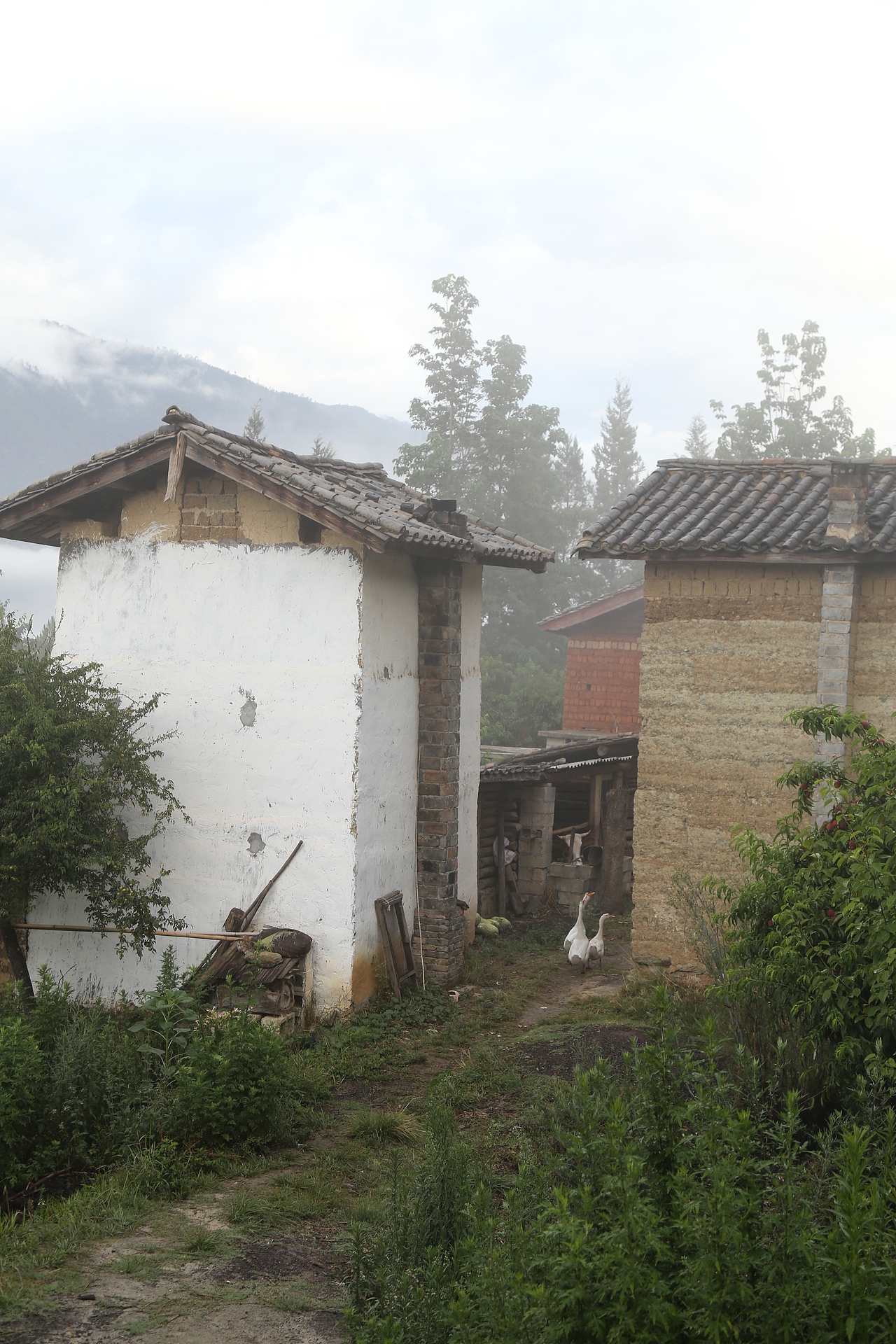 云南之行1——纳雪龙蟠小园