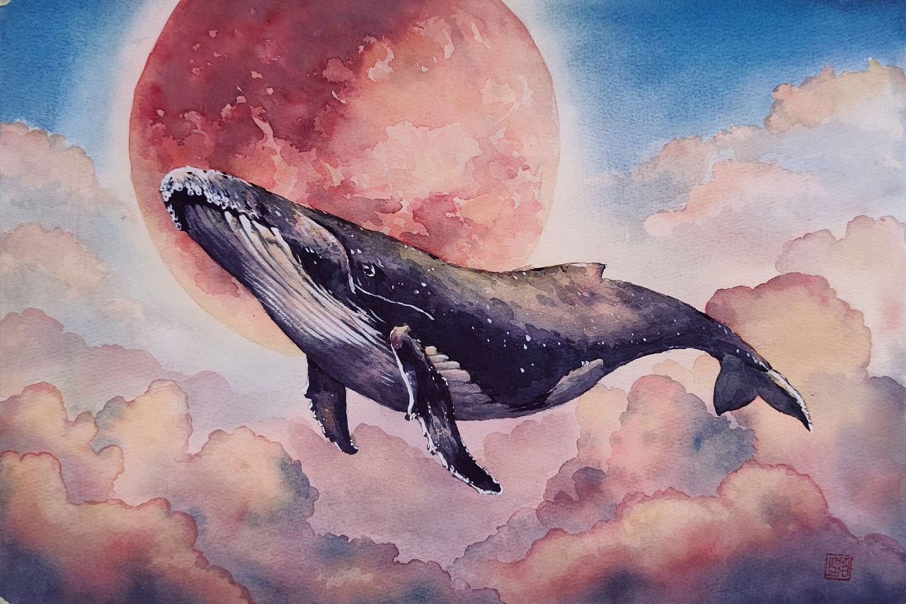 腐烂的鲸鱼绘画图片