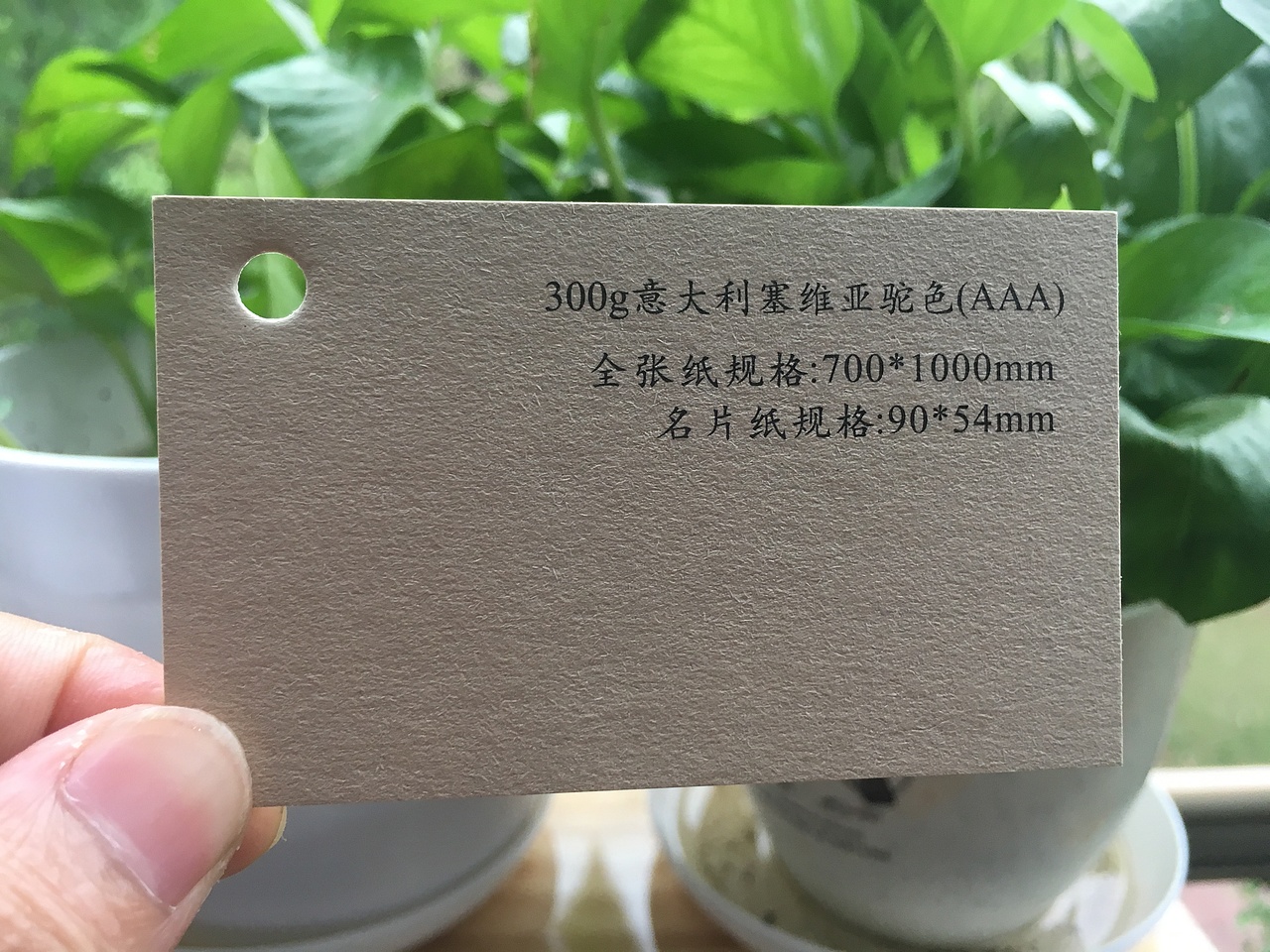 2019款特种纸艺术纸实物展示样册