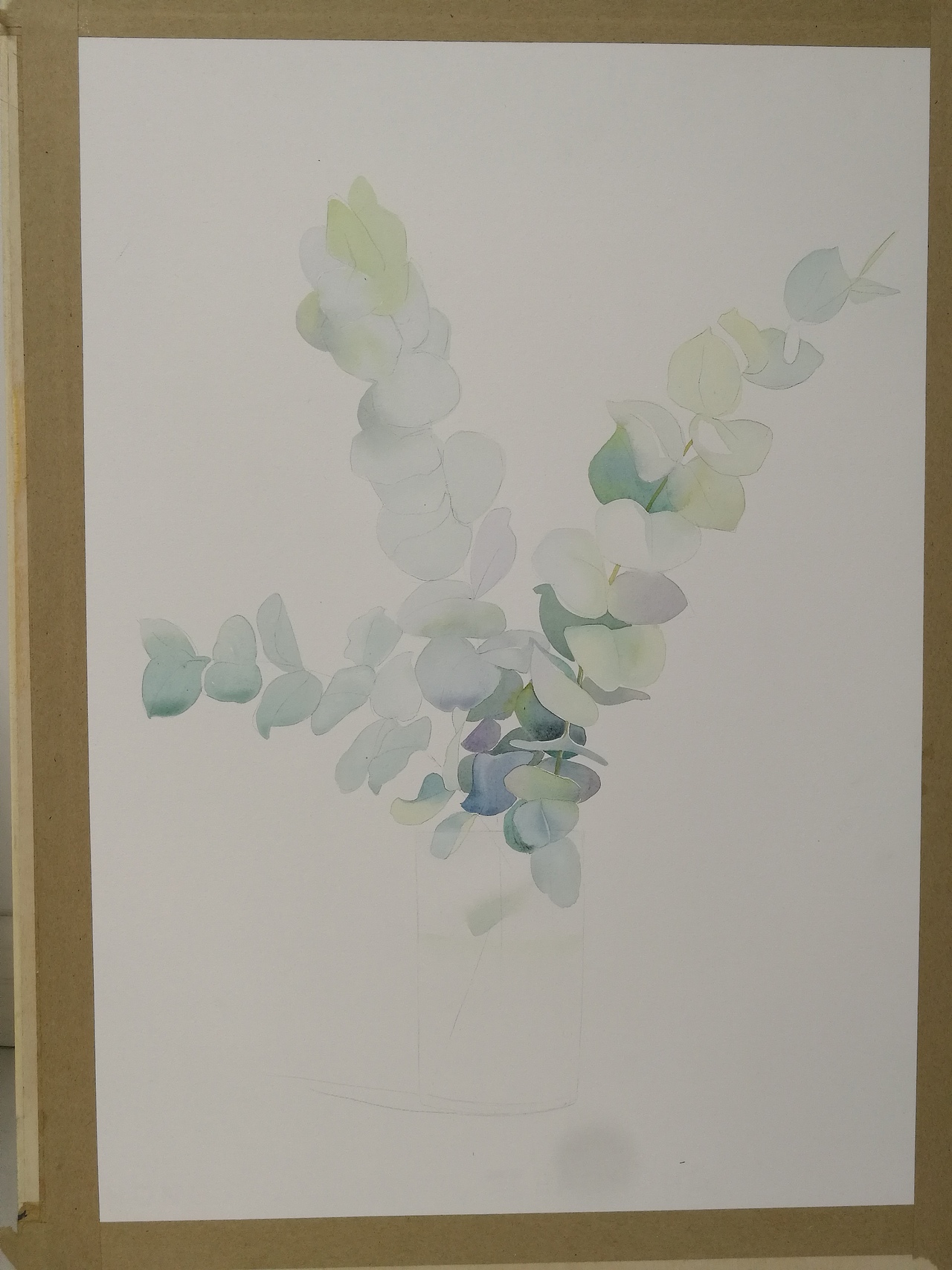 水彩插画尤加利叶