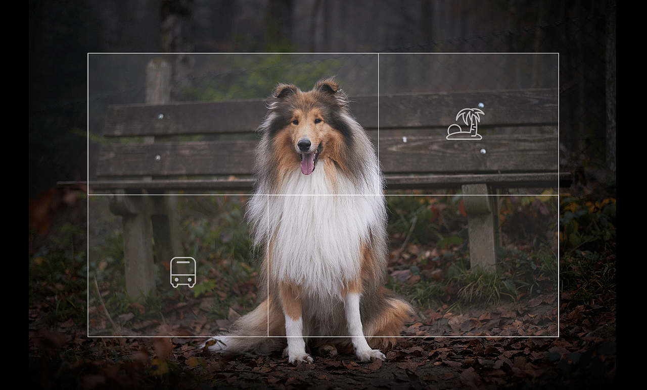 The dog's dream（图ZNTIwMjkxMjg=） - 运营设计 - 站酷设计师马小橙原创素材 - 站酷ZCOOL