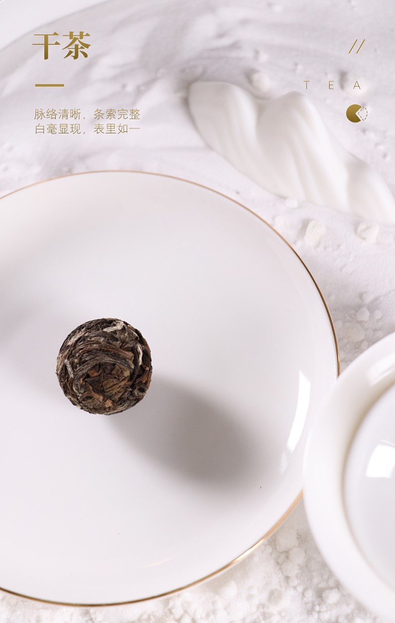 借相机学摄影第三天