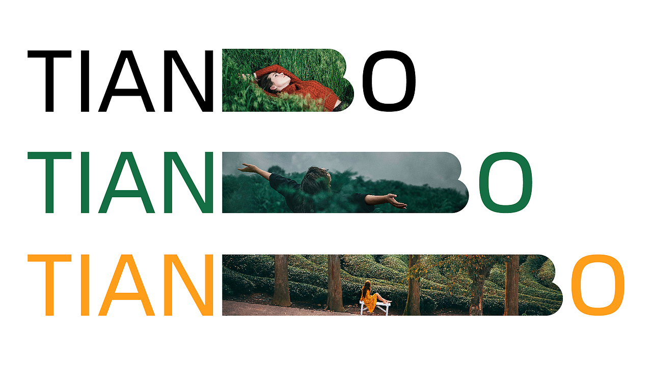 【浙江德清】田博品牌VI视觉（图ZMjczMTA0MzQw） - 品牌 - 站酷设计师酒后行为艺术家原创素材 - 站酷ZCOOL