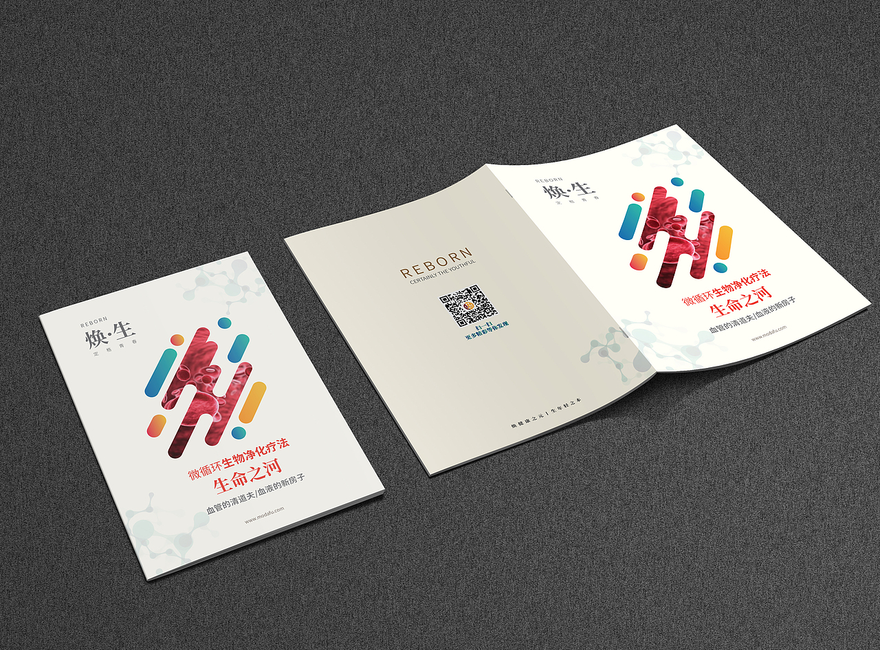 焕生——微循环