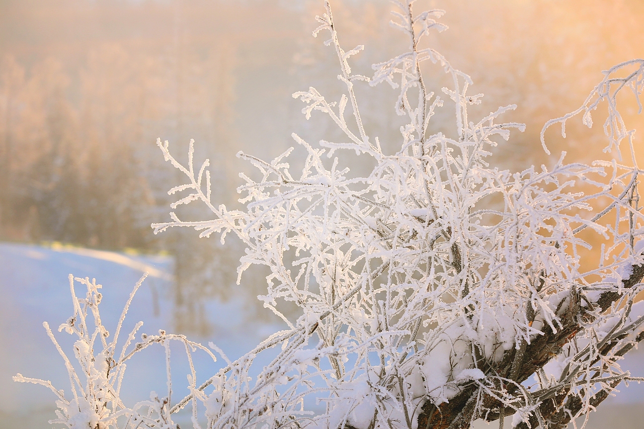禾木—神的自留地