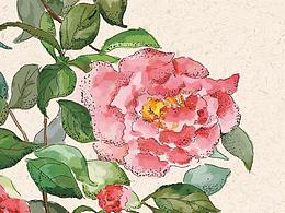 花儿~