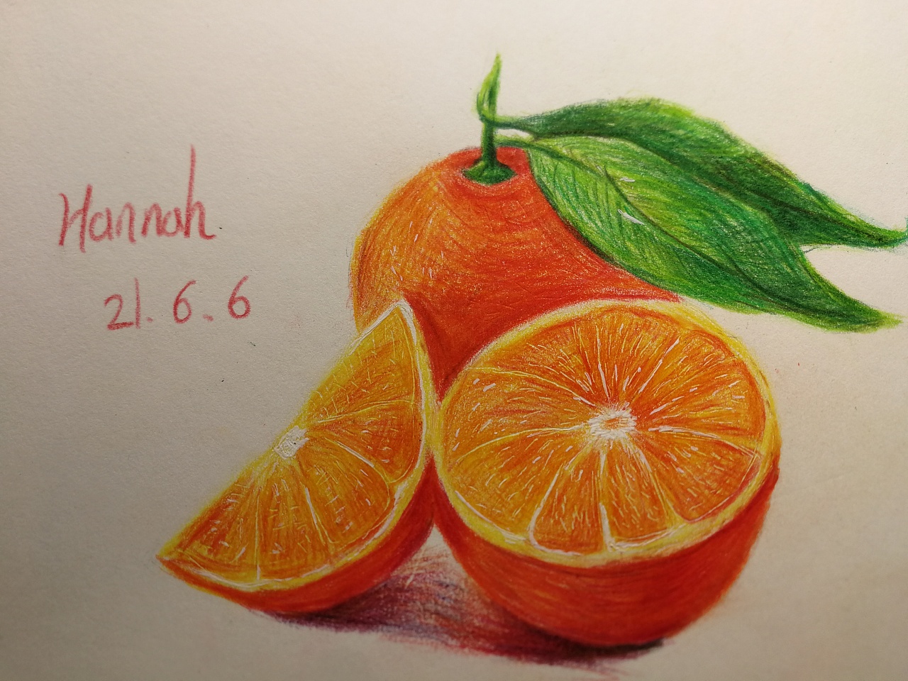 彩铅～脐橙 换了用彩铅纸画,好上色多了